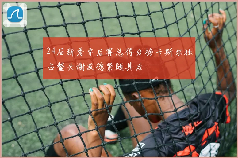 24届新秀季后赛总得分榜卡斯尔独占鳌头谢泼德紧随其后
